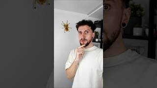 Thumbnail for MÁM DOMA PŘÍŠERU…