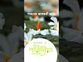 Develosoft  - এর পক্ষ থেকে সকলকে জানাই শুভ শারদীয়ার অনেক শুভেচ্ছা🌼❤️