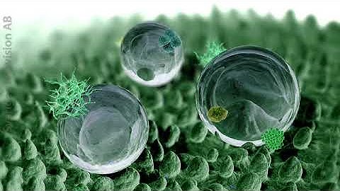 R 2019 0322 YTFORSKNINGNY