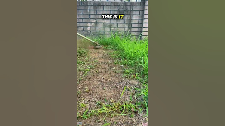 This is the most satisfying video on the internet today  Period  🤯#shorts