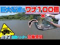 【ワナ100個】危険生物が潜む巨大な池にカニかご仕掛けた結果・・・≫生物ハンター加藤英明