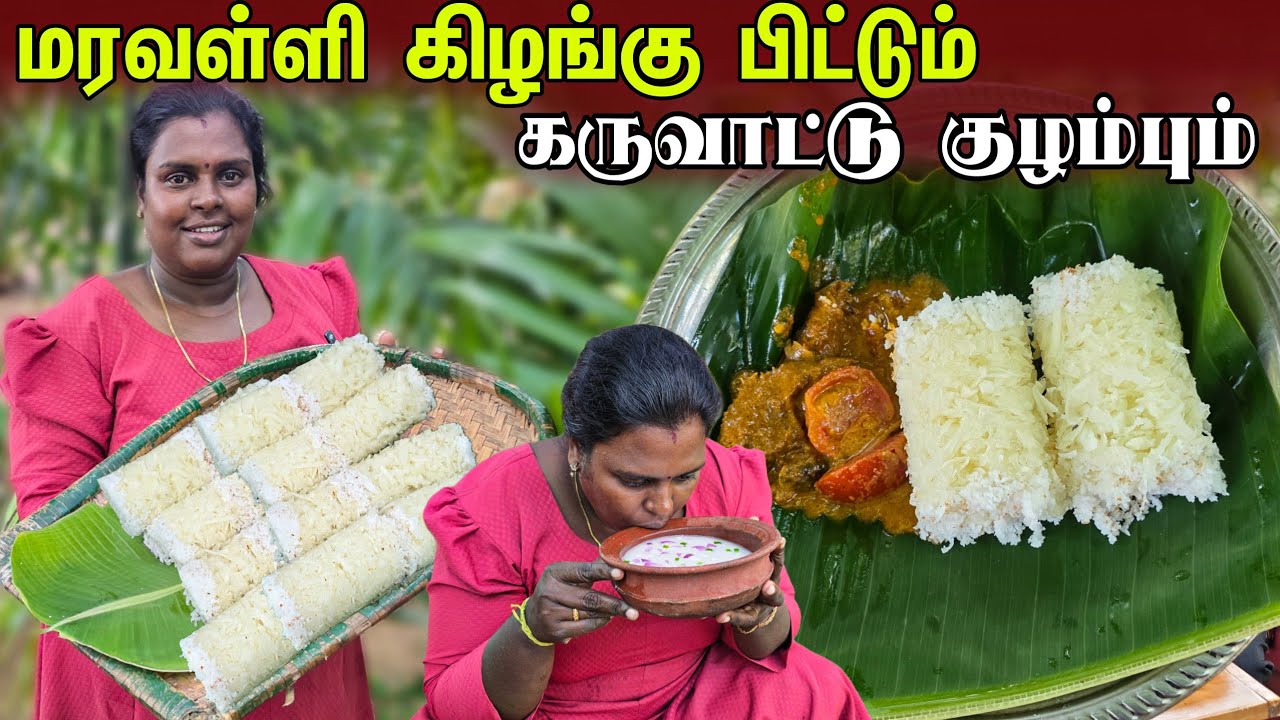 ஆவி பறக்க மரவள்ளி கிழங்கு பிட்டும் கருவாட்டு குழம்பும் | Our village life ♥️ | vanni vlog 