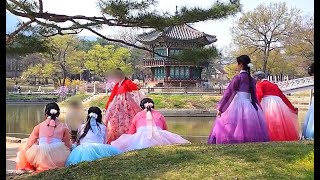 경복궁은 꽃대궐/꽃보다 한복이 아름다운 외국인들 몰려와Gyeongbokgung Palace Seoul Korea Travel