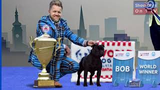 World Dog Show 24, part 4! World Dog Show 2025 in Helsinki and European Dog Show in Slovenija!