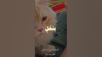 #سورة_الكهف #المنشاوي #قرآن_الصباح #قران_شاشة_سوداء #تلاوة_هادئة #تلاوة_خاشعة