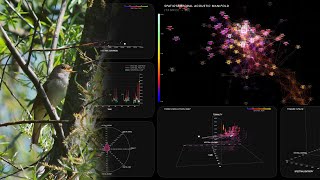 A Nightingale's Song Translated into Realtime Data