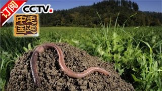[Across China] 20160808 | CCTV-4