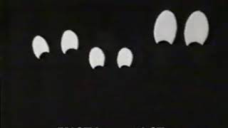 مقدمة في سركنا مهرج بالعربي المهرج بوزو بالعربي