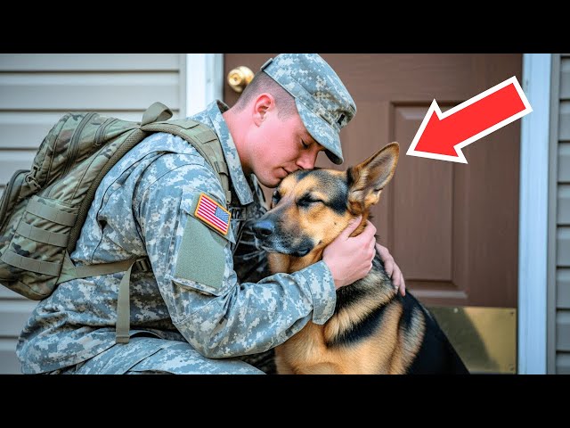 Soldier Returns Home After 2 Years… What His Dog Did Next Shook The Entire  Family - YouTube