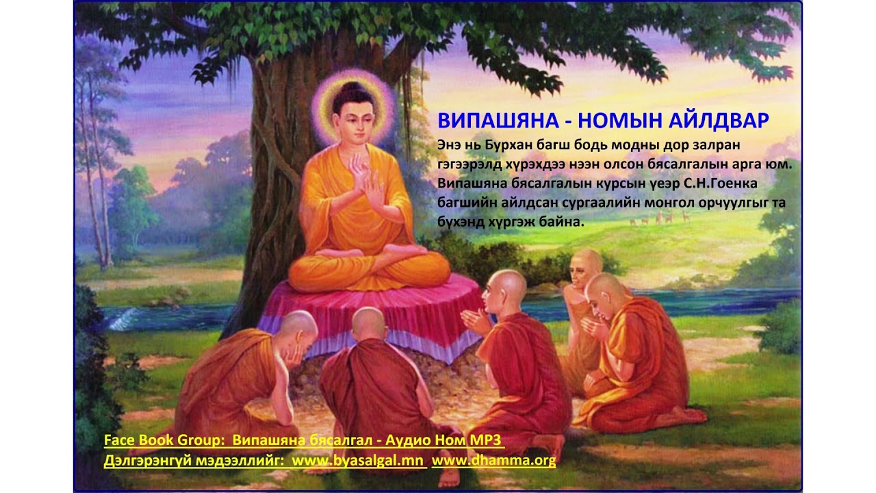 Day 09   Випашяна Номын айлдвар С Н Гоенка