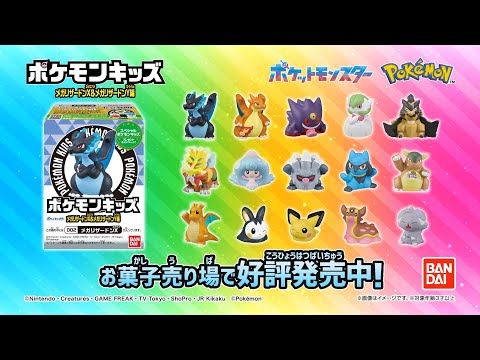 ポケモンキッズ　まとめ売り 2025年最新】Yahoo!オークション -ポケモンキッズ 大量の中古品