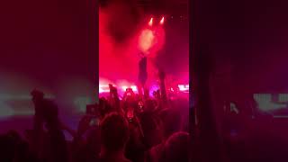 NF - Returns [LIVE]
