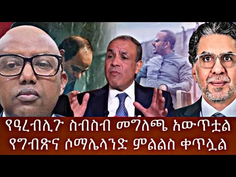 የዓረብሊጉ ስብስብ መግለጫ አውጥቷልየግብጽና ሶማሌላንድ ምልልስ ቀጥሏል 