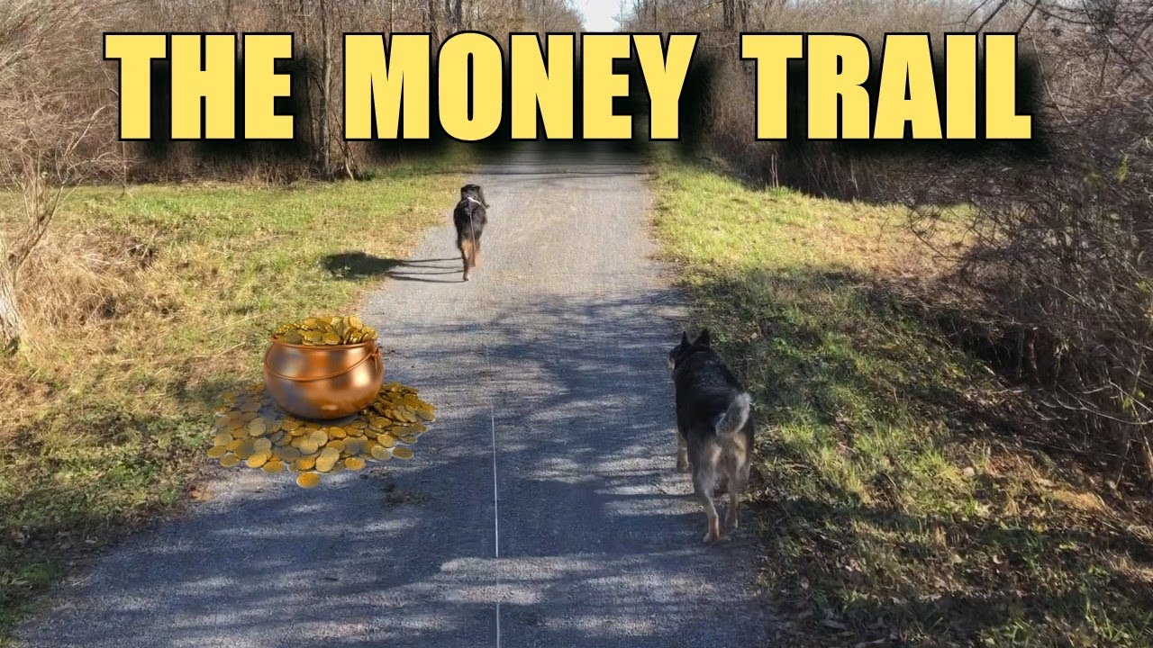 The Money Trail A Little Luck or Mere Random Occurrence? YouTube