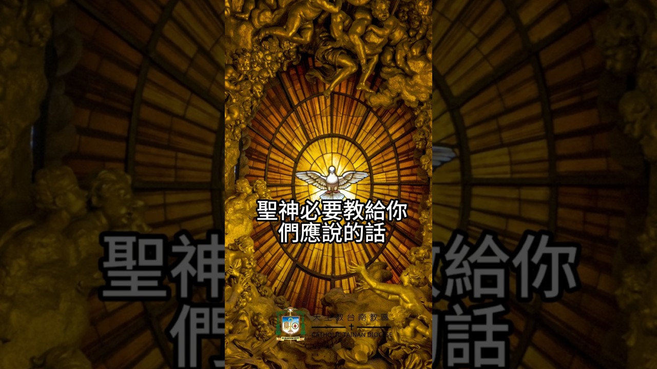 10/17  恭讀聖路加福音　12:8-12   那個時刻，聖神必要教給你們應說的話。