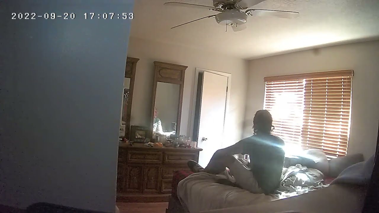 Having seizure while lola the seizure alert dog barks.