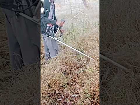 Brush cutter STIHl