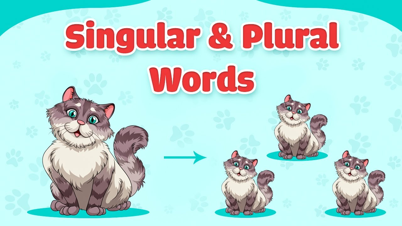 Singular and Plural Nouns for Kids English Grammar for Kids Kindergarten YouTube