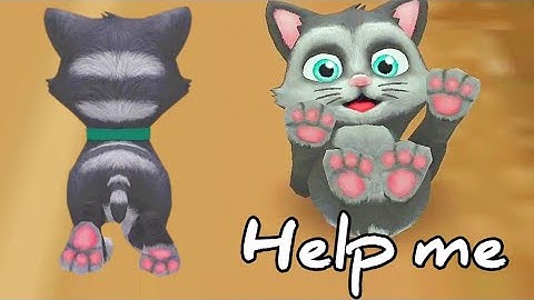 Pet Run - Puppy Dog Game#8 (part 6) _ Gameplay 2022_ios, Walkthrough, Android game