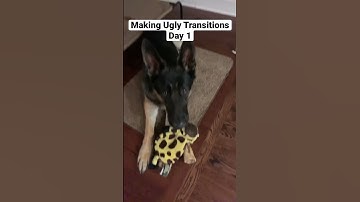 Making Ugly Transitions Day 1 #transition #recommended #shorts #cute