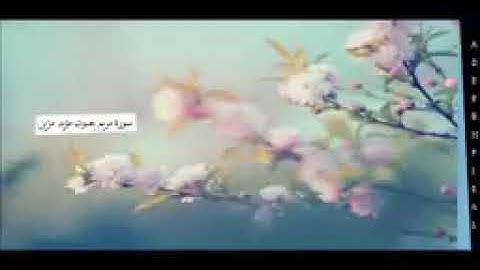 سورة مريم - مؤيد مزين