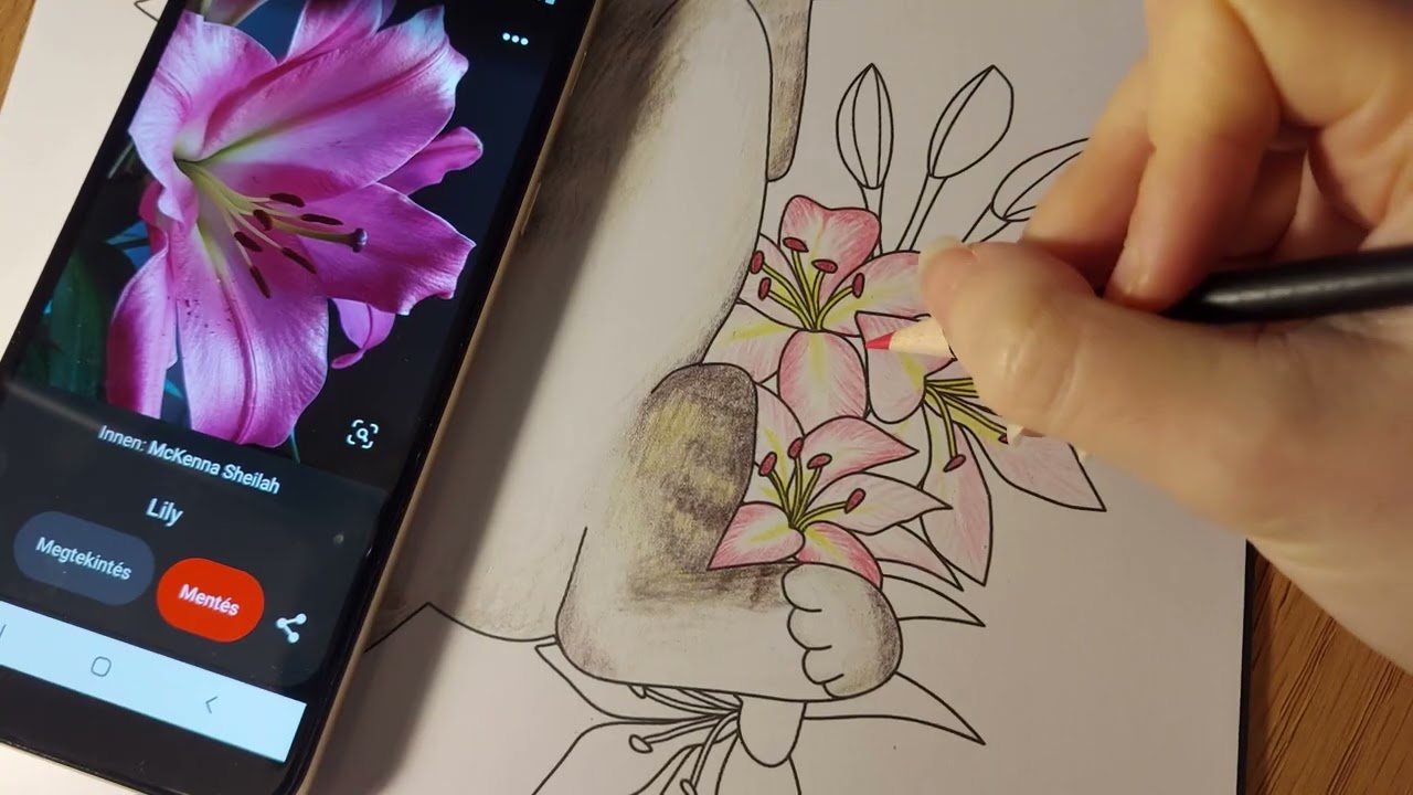 Color with Me Lily Flowers with Colored Pencils Using Hatching Technique