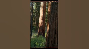 How to configure Notion MCP in Raycast AI on Mac