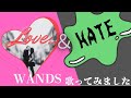 【歌ってみた】LOVE &amp; HATE / WANDS #wands #90年代jpop #歌ってみた