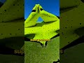 ITENS QUE FORAM BANIDOS DO FUTEBOL!