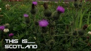 This is Scotland intro