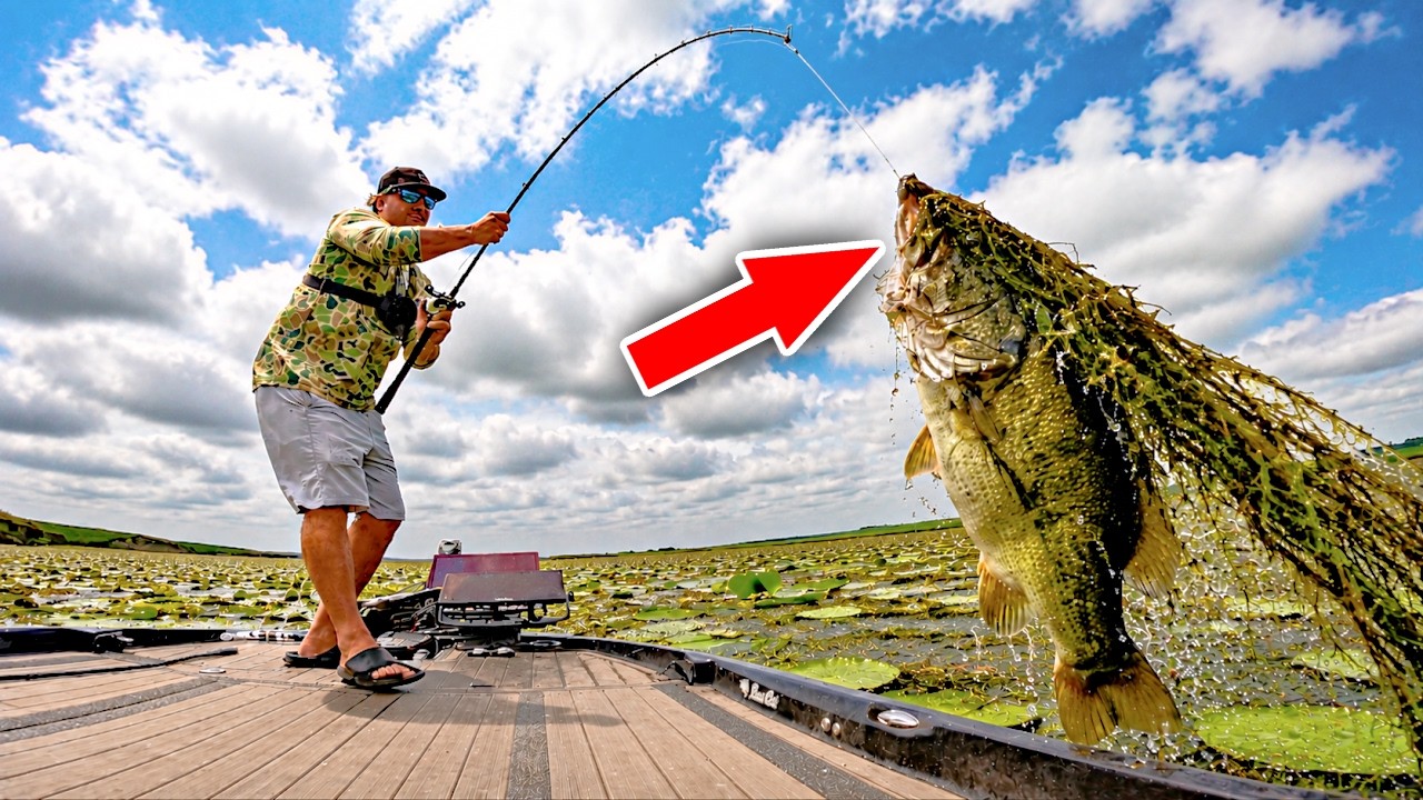 Locals Told Me there's NO FISH Here…