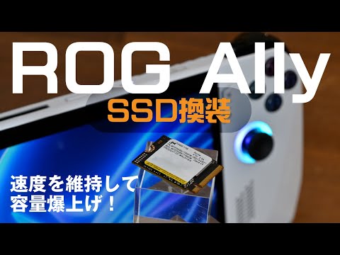 ASUS　ROG ALLY　2TB換装済み　ケース付き