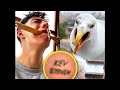 Me and My Pet Seagull Got Matching Tattoos!