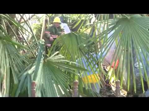 ხანძარი ოზურგეთში