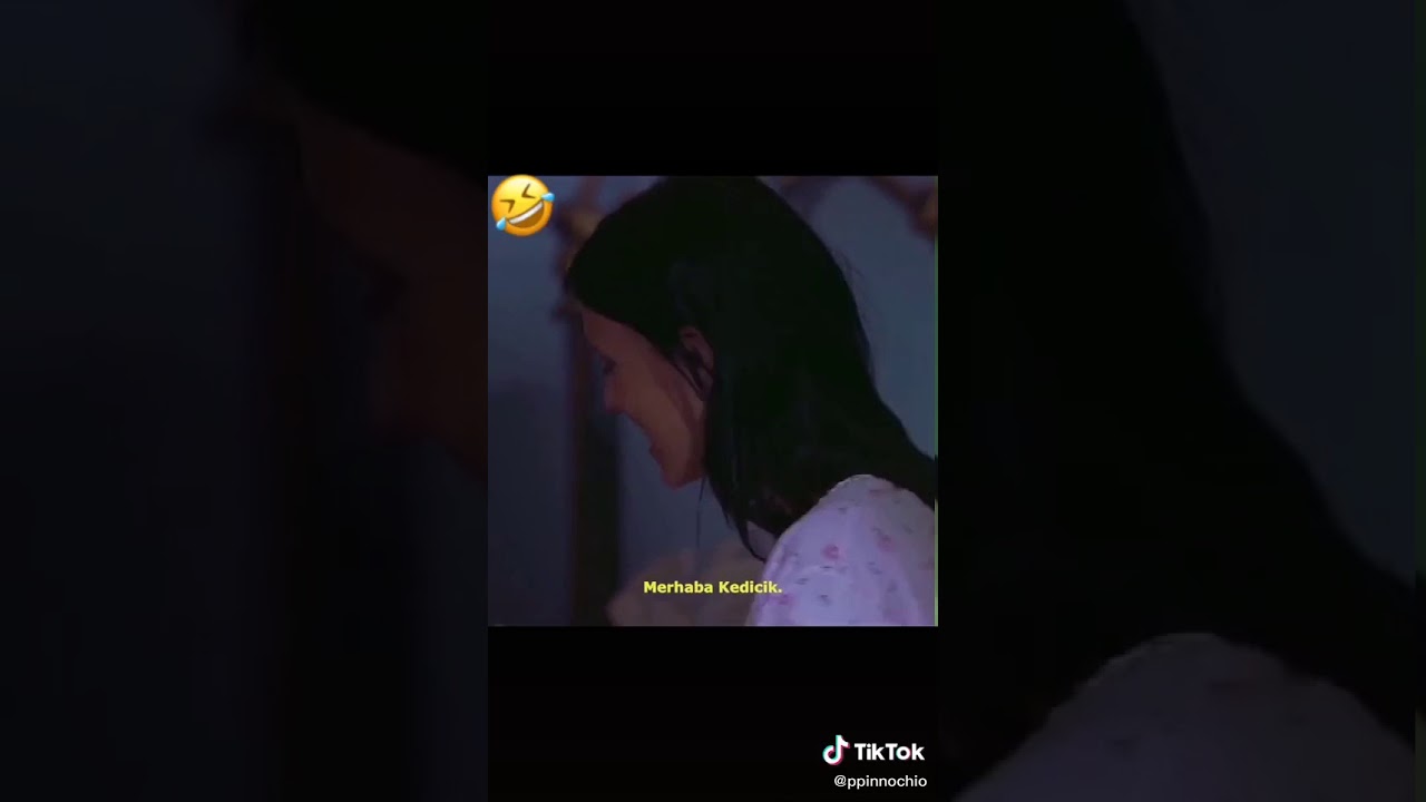 Çılgın kedi yargı dağıtıyor YouTube