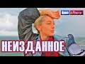 Орел и решка. Перезагрузка 3 - Неизданное (FullHD) - Интер