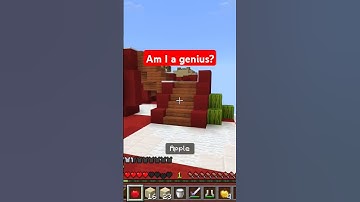 Shulker swords are elite #minecraft