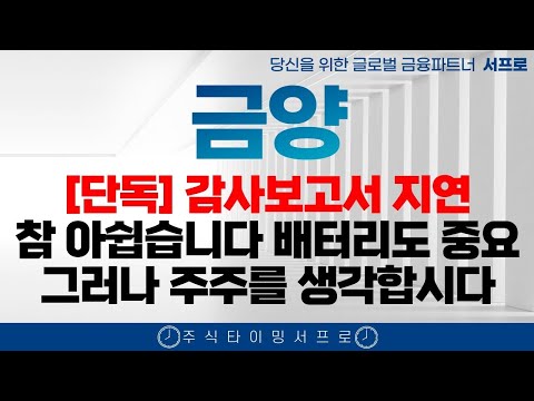 [금양 금양주가 금양주가전망]⭕️감사보고서 지연에 대한 명확한 이유 답이 나왔습니다. 다음주 주가전망은?