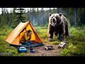 7 MOST DISTURBING CAMPING ENCOUNTERS CAUGHT ON CAMERA | Chilling camping experience