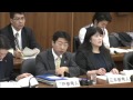 2017 06 01 衆議院憲法審査会「参考人質疑」