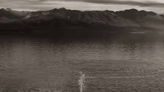 in waves cover in drop b