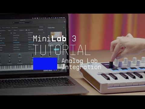 Tutorials | MiniLab 3 - Using Analog Lab