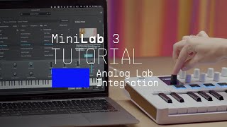 Tutorials | MiniLab 3 - Using Analog Lab