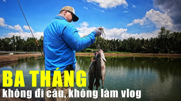 Mồi Mềm Câu Lure Cá Chẽm Siêu Nhạy Chất Lượng Không Đổi Hiệu Quả Dài Lâu