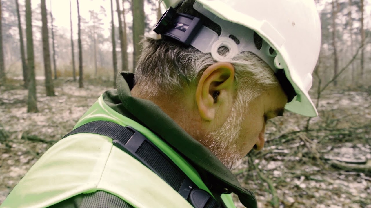 Nadleśnicto Dobrzany FILMPOLSKI PL