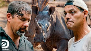 Momentos alocadamente intrépidos de Frank y Darran | Wild Frank vs Darran | Animal Planet