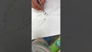 speed sketch Kraken