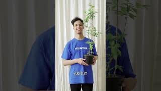 Artists Speak Up: A Movement for the Environment #shorts