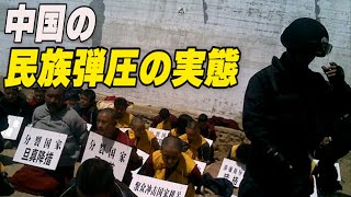 〈吹替版〉Q&A  中国の民族弾圧の実態