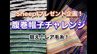 【 大型企画 】腹巻帽子チャレンジ♪